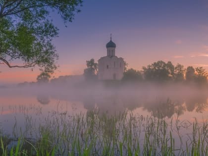 Погода в Новосибирске 31 июля: с утра – туман, днем — непродолжительный дождь