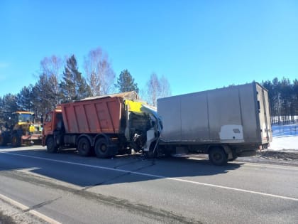 Под Новосибирском в столкновении двух фур погиб водитель «Изуцзу»