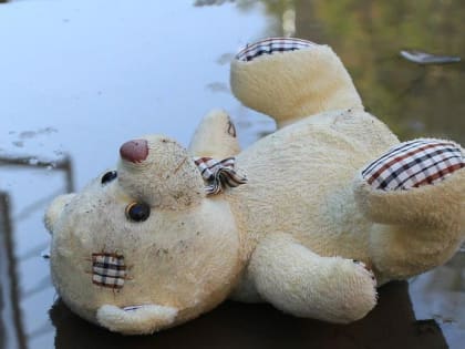 СК возбудил два дела о гибели детей на пожаре в Первомайском районе