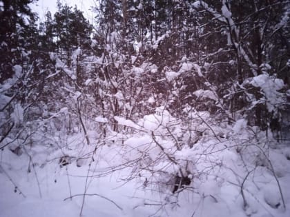 Сдать экзамен на экскурсовода могут бердчане