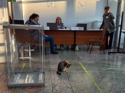Сузунский район лидирует по явке на выборы по Новосибирской области