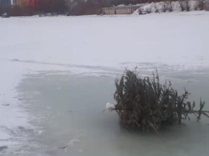 Шевелящаяся посреди Оби ёлка заставила сибирячку вызвать спасателей