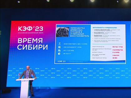 Проекты приангарского кластера представили на Красноярском экономическом форуме