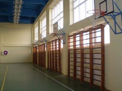 Третьеклассник из Новосибирска сломал позвоночник на уроке физкультуры