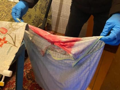 Следком: 18-летний рецидивист под Новосибирском зарезал женщину ночью ради пенсии