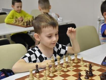 Бердск вошел в проект федерации шахмат Новосибирской области