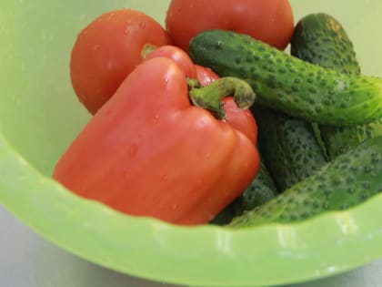 Эксперименты с перцами и мятой проводят в ДДТ имени Дубинина