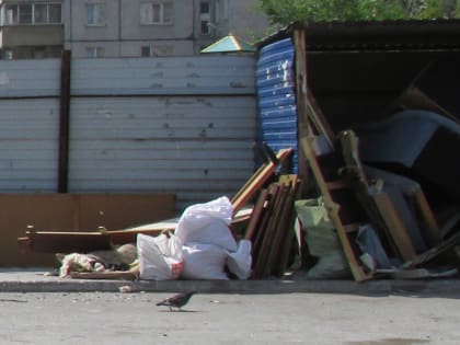 В Новосибирске незаконный сброс отходов будут фиксировать фото- и видеокамеры