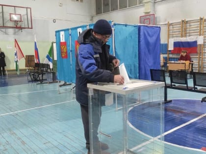 В Новосибирской области явка на довыборах на 15:00 составила 10%