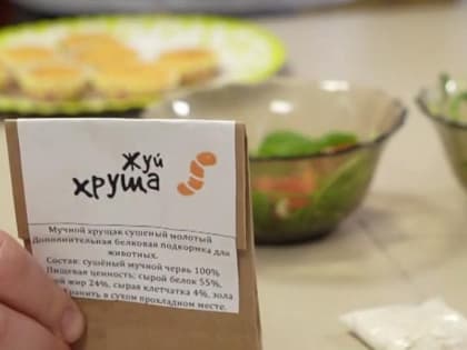 «Жуй хруща!»: личинки жука превращают в полезные продукты