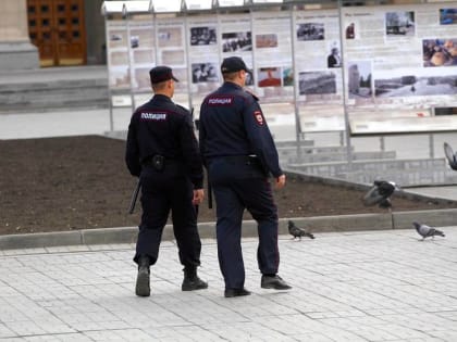 Насколько новосибирцы доверяют полиции?