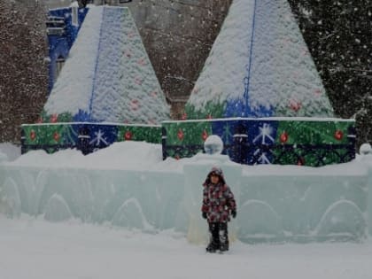 Погода в Новосибирске 2 февраля: туман и изморозь
