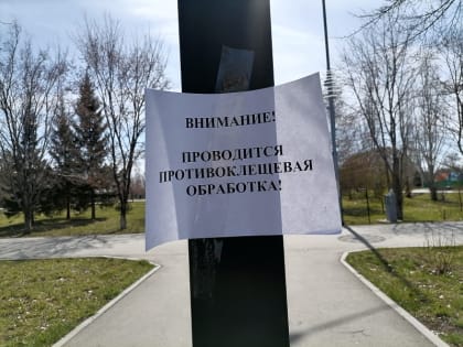 Обработка против клещей с 16 по 17 мая проводится в рощах и скверах Бердска