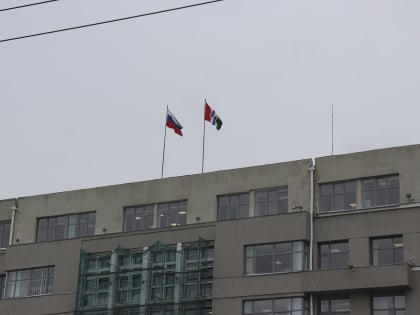 Сколько новосибирских чиновников служили в армии?