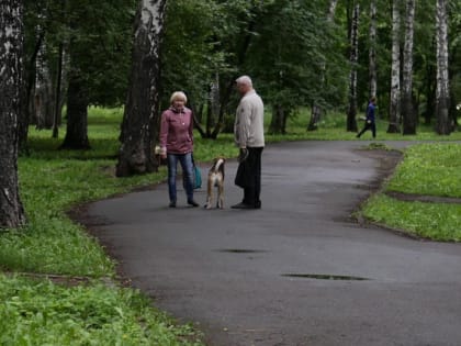 Новосибирцев зовут на семинар по преображению Берёзовой рощи