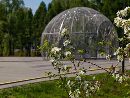 Новосибирский парк «Арена» претендует на звание «Парк года»