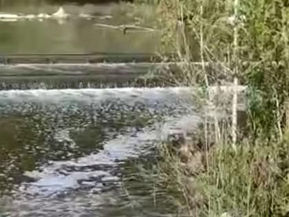 Пена с неприятным запахом появилась на реке Тула в Новосибирске