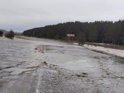 Талые воды затопили восемь загородных дорог под Новосибирском