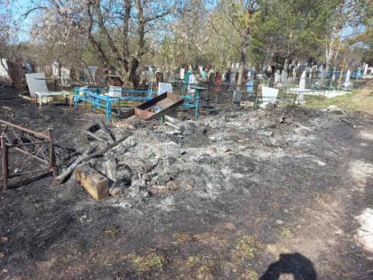 Неизвестные подожгли могилы на кладбище в Новосибирске