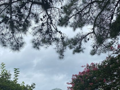 Студентка группы ИН001, Дарья Цындренко уже 2 месяца успешно проходит обучение по обмену в Kyungpook National University (KNU)