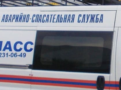 За сутки спасатели обнаружили в Новосибирске два женских трупа