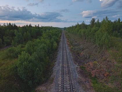 В Новосибирске на станции «Обское море» тепловоз насмерть сбил 42-летнюю женщину