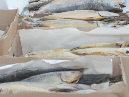 22 килограмма мёда и рыбы забрали у торговцев в Кировском районе