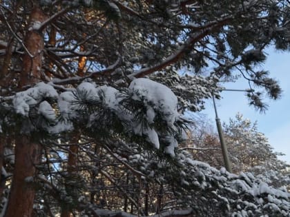 Штормовое предупреждение объявили в Новосибирской области на 8 и 9 января