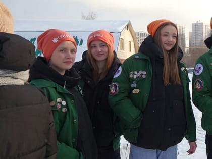 «Снежный десант» с лопатами высадился в Дзержинке