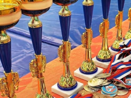 Спорт для детей: Как выбрать правильную секцию