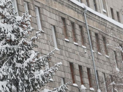 О порывистом ветре до 13 м/с предупреждают новосибирцев