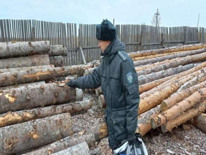 Сибирские регионы просят разрешить экспорт продуктов леспрома на местных пунктах пропуска