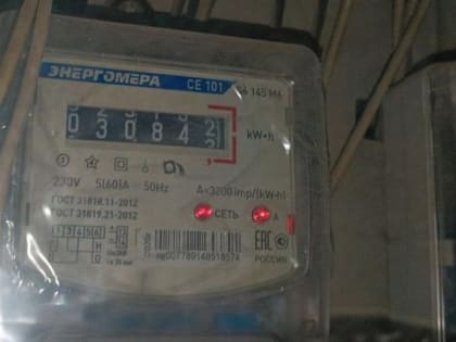 3690 должников за электричество в назвал «Новосибирскэнергосбыт»