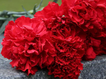 Ушёл из жизни известный новосибирский писатель Михаил Щукин