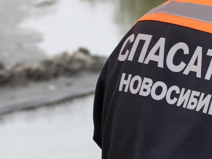 21 ребёнок утонул за год в Новосибирской области