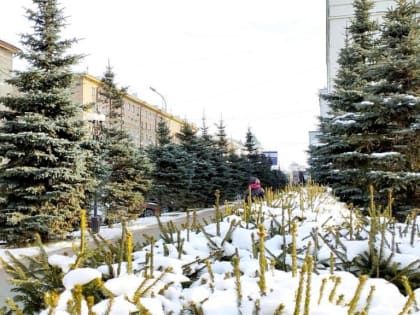 В какие морозы можно не ходить в школу в Новосибирске в 2023 году