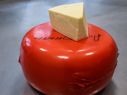 Под Новосибирском начали строить подстанцию для сырзавода «ЭкоНивы»