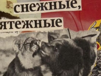 «Нежные, снежные, мятежные»: в ЦК19 открыли выставку коллажей