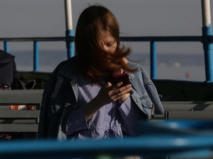 Если вы пропустили: имена для мишек, музей Покрышкина и экскурсии по Оби