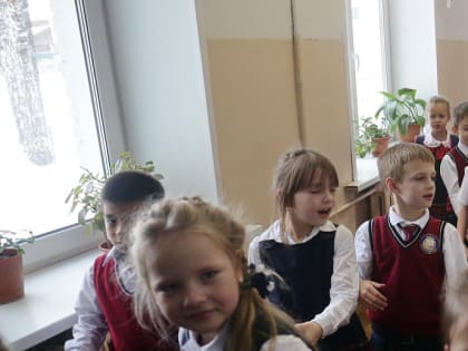 20 новых школ нужно Новосибирску для перевода большинства на одну смену
