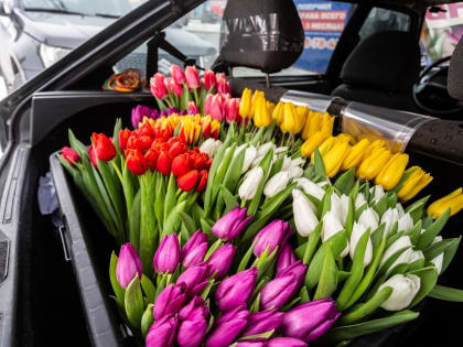 В Новосибирске продолжаются концерты в честь 8 Марта – афиша на 9 марта