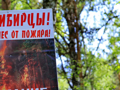 До 800 тысяч выросли штрафы за костры и палы травы в Новосибирске