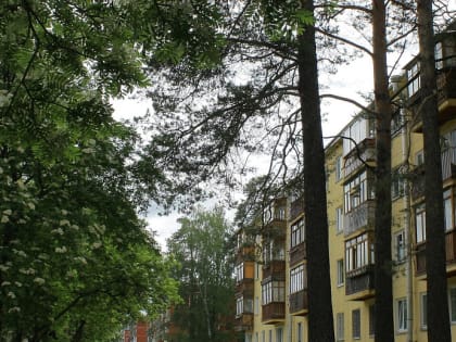 Релиз мистической игры про Академгородок запланировали на сентябрь