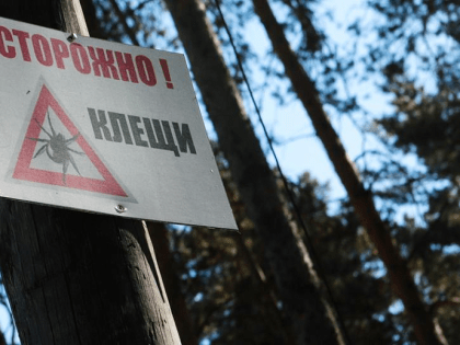 Парки Новосибирска начнут обрабатывать от клещей с 15 апреля