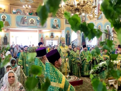 Зелёные Святки отмечают православные в Новосибирской области: как не согрешить в Троицу