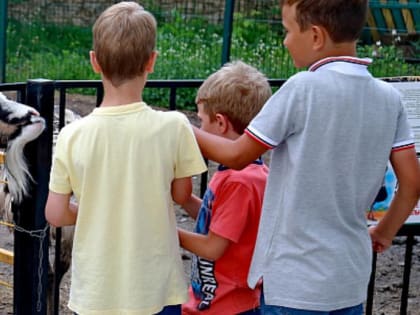 Новый павильон готовят к открытию в зоопарке на Затулинке