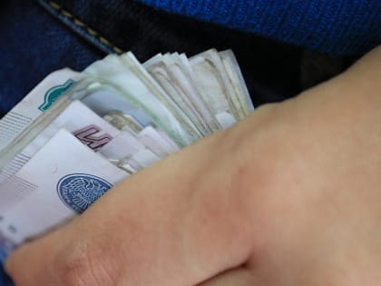 Онлайн-опрос о бытовой коррупции запустили в Новосибирске