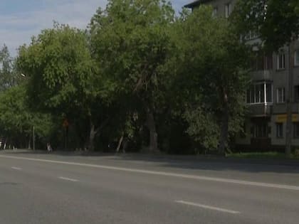 Экраны, забор и оконные клапаны защитят от шума жителей Матвеевки