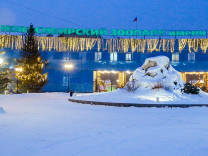 Билеты в Новосибирский зоопарк подорожали