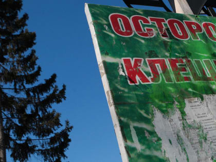 Роспотребнадзор предупреждает о новых угрозах здоровью